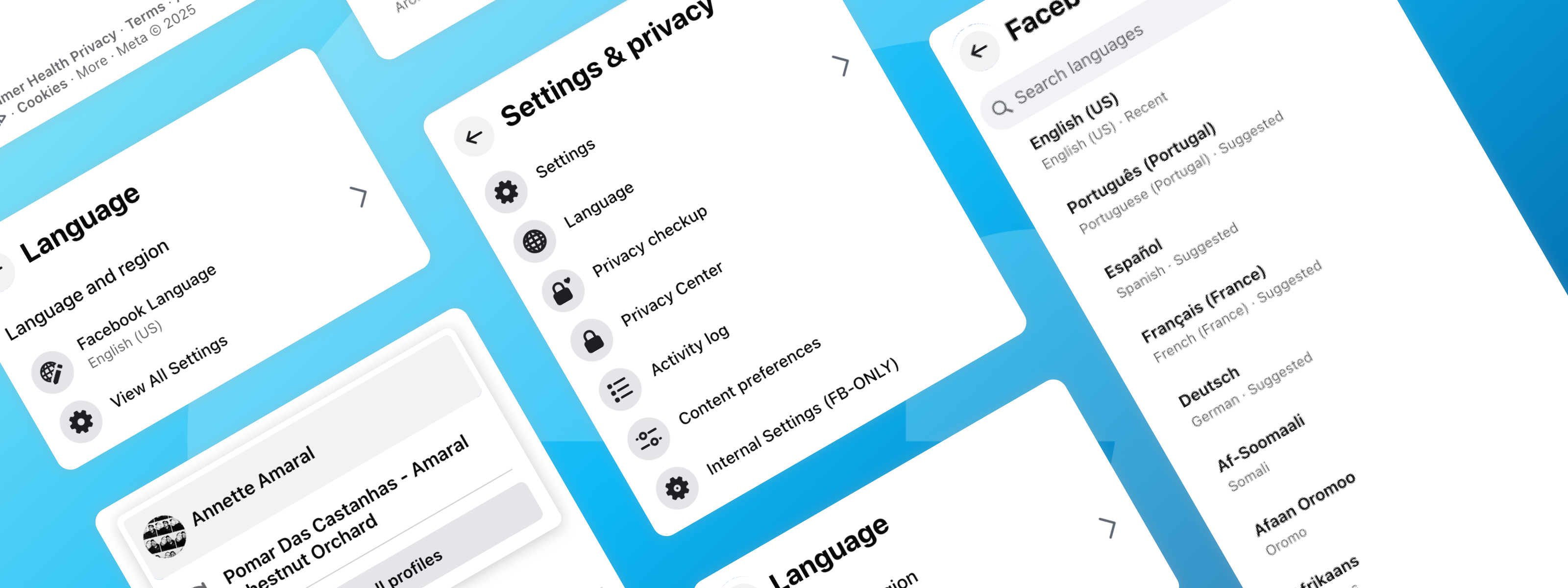 Facebook Language Settings — hero visual